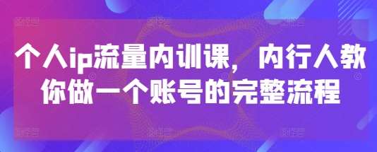 个人ip流量内训课，内行人教你做一个账号的完整流程-齐力副业