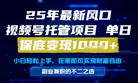 25年最新风口，视频号托管项目，单日保底变现1k+，手把手教学【揭秘】-齐力副业