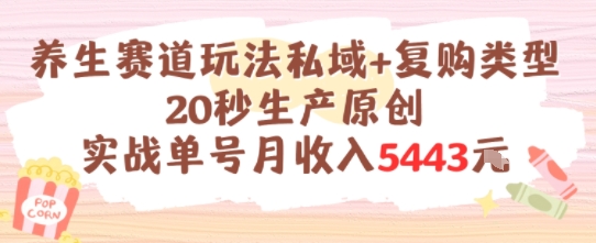 养生赛道玩法私域+复购类型，20秒生产原创实战单号月收入5k+-齐力副业