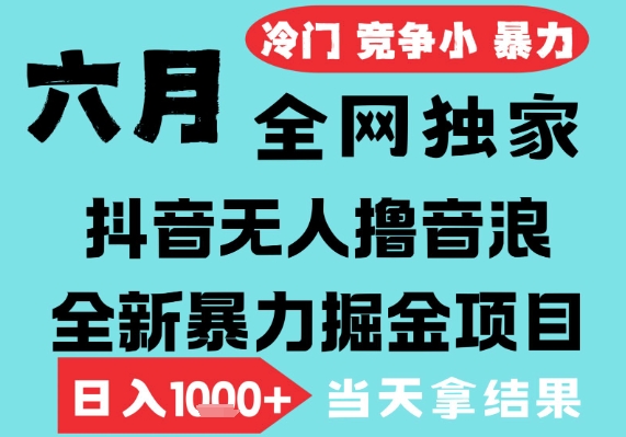 2025年6月高爆抖音无人直播最新撸音浪掘金项目，无脑日入1k+，低门槛小白可做，可矩阵放大【揭秘】-齐力副业