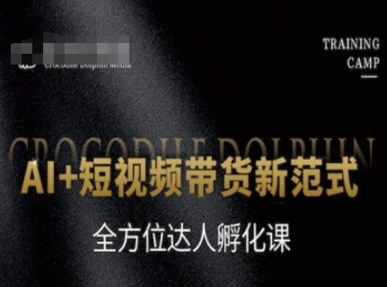 AI+短视频带货新范式，全方位达人孵化课-齐力副业