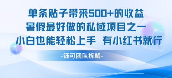 单条贴子带来5张的收益，暑假最好做的私域项目之一，小白也能轻松上手，有小红书就行-齐力副业