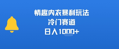 情趣内衣暴利玩法，冷门赛道，日入1k+-齐力副业