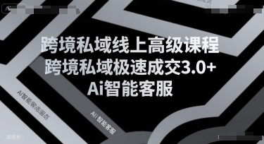 跨境私域线上高级课程，跨境私域极速成交3.0+Ai智能客服-齐力副业