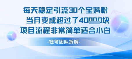 每天稳定引流30个人 当月变成超过了4个W项目流程非常简单适合小白-齐力副业