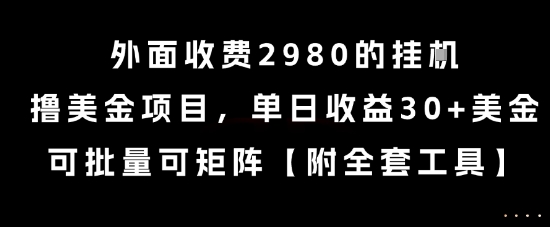 外面收费2980的挂G撸美金项目，单日收益30+美金，可批量可矩阵【揭秘】-齐力副业