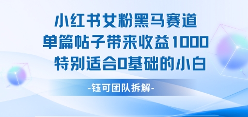 小红书女粉黑马赛道单篇帖子带来收益1k+，特别适合0基础的小白-齐力副业