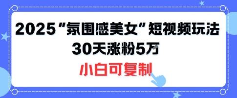 不露脸也能火!2025“氛围感美女”短视频玩法,30天涨粉5W小白可复制-齐力副业