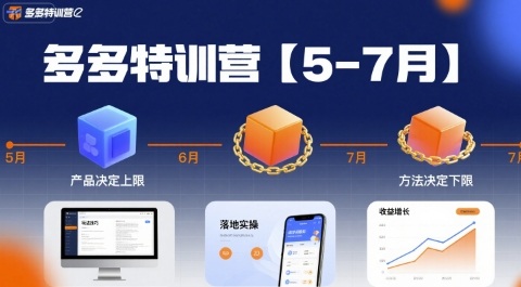 多多特训营【5-7月】产品决定上限，方法决定下限，各种玩法技巧落地实操-齐力副业