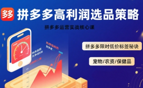 拼多多选品暴利技术实战课,拼多多高利润选品策略,拼多多限时低价标签秘诀-齐力副业