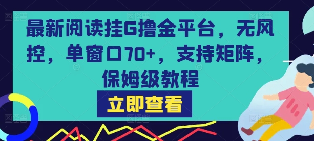 最新阅读挂G撸金平台，无风控，单窗口70+，支持矩阵，保姆级教程【揭秘】-齐力副业