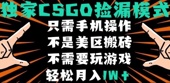 CSGO自动捡漏项目，最新独家玩法，不是美区搬砖，不需要了解和玩游戏，新手小白轻松月入1W+【揭秘】-齐力副业