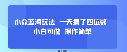 小众蓝海玩法 一天搞了四位数 小白可做 操作简单-齐力副业