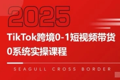 TikTok跨境0-1短视频带货，系统拆解TikTok跨境带货全链路，实现跨境可持续盈利-齐力副业