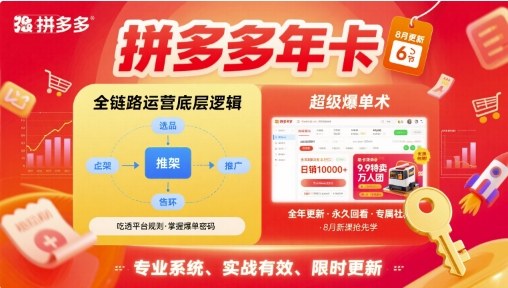 拼多多年卡【8月更新6节】拼多多全链路运营底层逻辑，超级爆单术-齐力副业
