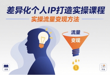 差异化个人IP打造实操课程，实操流量变现方法-齐力副业