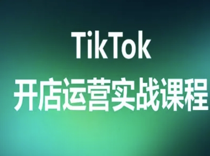 TikTok开店运营实战课程，TK跨境电商实操全流程-齐力副业
