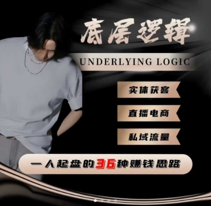一个人起盘的底层逻辑，私域流量-直播电商-实体获客，一人起盘的36种賺钱思路-齐力副业