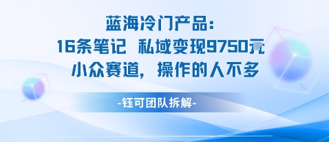 蓝海项目：16条笔记私域变现9750米小众赛道操作的人不多-齐力副业
