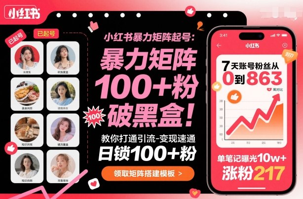 小红书暴力矩阵起号，教你打通引流-变现速通，日锁100+粉，破流量黑盒-齐力副业