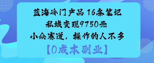 蓝海冷门产品：16条笔记私域变现9750米小众赛道，操作的人不多-齐力副业