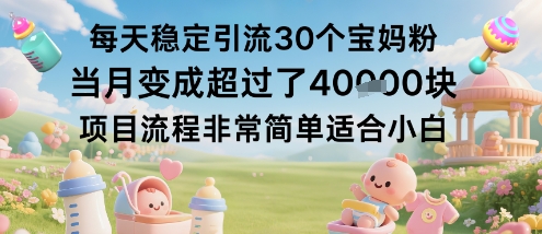 每天稳定引流30个宝妈粉当月变成超过了1W+项目流程非常简单适合小白-齐力副业