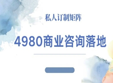 4980商业咨询师落地课程-ip运营高客单教程-齐力副业