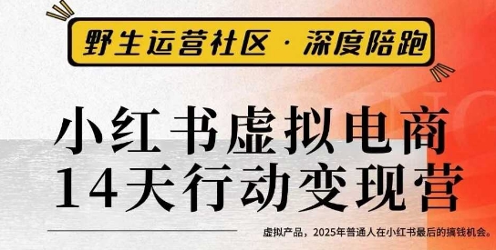 小红书虚拟电商14天变现训练营3.0，​虚拟产品，2025年普通人在小红书最后的搞钱机会-齐力副业