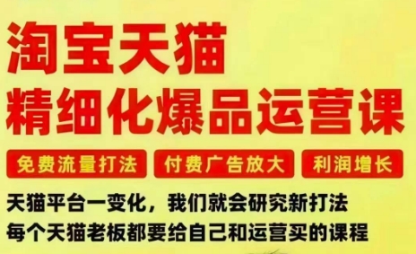 淘宝天猫精细化爆品运营课，免费流量打法-付费广告放大-利润增长-三大核心痛点，一次全部解决-齐力副业