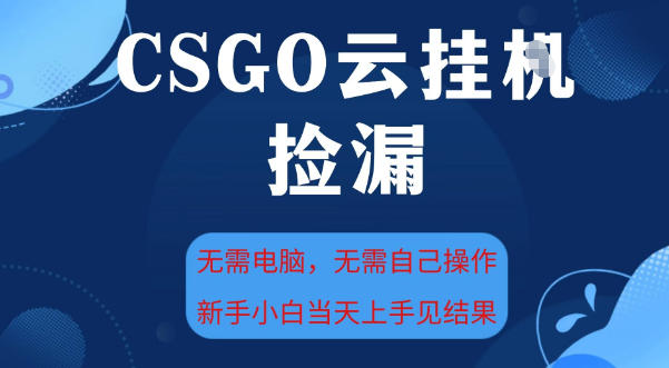 CSGO云挂G全自动捡漏，最新独家玩法，无需电脑操作，新手小白日入5张+【揭秘】-齐力副业