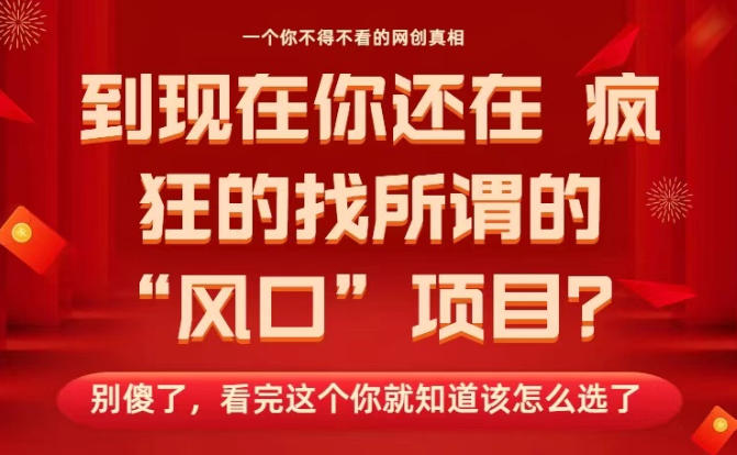 马上26年了，你还在找所谓的风口项目？别傻了，看完这个你全都懂了！【揭秘】-齐力副业