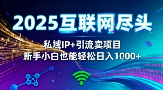 2025网创尽头王炸项目！私域IP+精准引流，新手小白在家躺賺日入1k，零经验也能上手【揭秘】-齐力副业