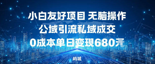 小白友好项目，无脑操作，公域引流私域成交，0成本单日变现680米-齐力副业