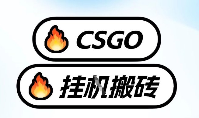 真全网独家CSGO挂G,最新玩法,单日捡漏1K+,不用电脑,不用打游戏【揭秘】-齐力副业