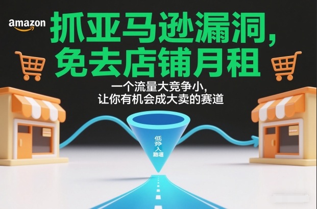抓亚马逊漏洞，免去店铺月租，一个流量大竞争小，让你有机会成大卖的赛道-齐力副业