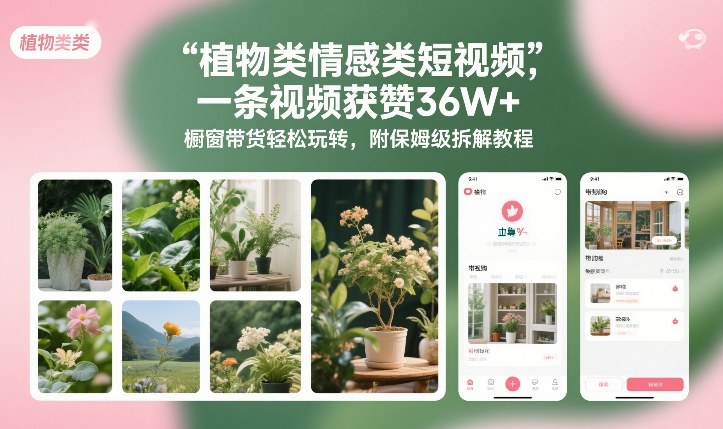 植物类情感类短视频，一条视频获赞36W+，橱窗带货轻松玩转，附保姆级拆解教程-齐力副业