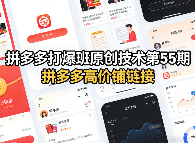 拼多多打爆班原创技术第55期，拼多多高价铺链接-齐力副业