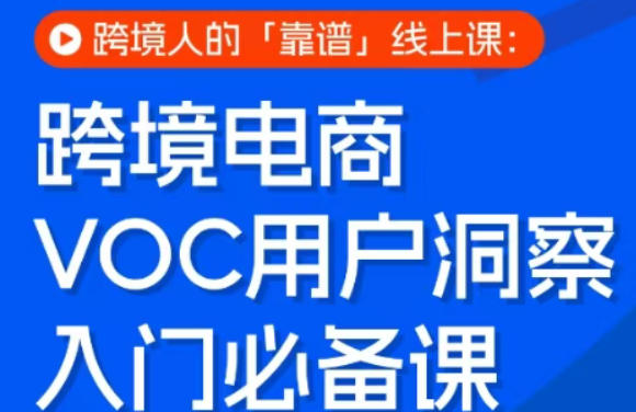 跨境电商VOC用户洞察入门必备课，跨境人的靠谱线上课-齐力副业