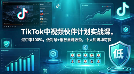 TikTok中视频伙伴计划实战课，过中率100%，低封号+播放量賺收益，个人矩阵均可做-齐力副业