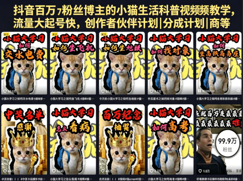 抖音百万粉丝博主的小猫生活科普视频教学,流量大起号快,创作者伙伴计划|分成计划|商单|收徒等-齐力副业
