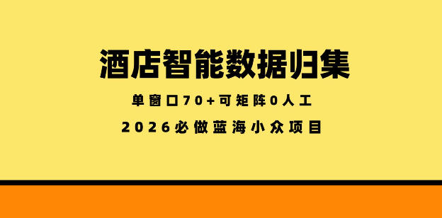 酒店智能数据归集，小众蓝海已经稳定半年之久，单窗口70+零成本矩阵开干【揭秘】-齐力副业