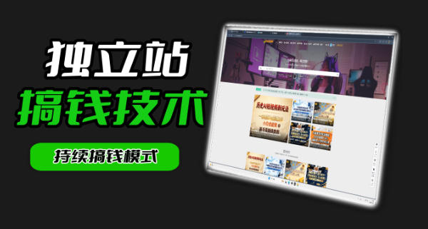 干货来袭！麦子甜带你吃透独立站｜从搭建到引流一站式教学《独立站》第一期-齐力副业