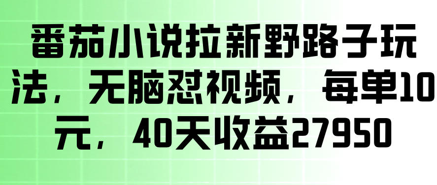 番茄小说拉新野路子玩法，无脑怼视频，玩法简单、见效快，每单10米，40天收益27950-齐力副业