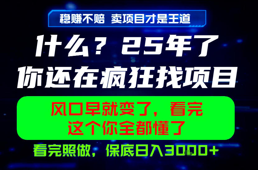 26年,请不要疯狂的找项目做了!卖项目才是真的稳賺不赔,看完照做,保底日入1k+【揭秘】-齐力副业