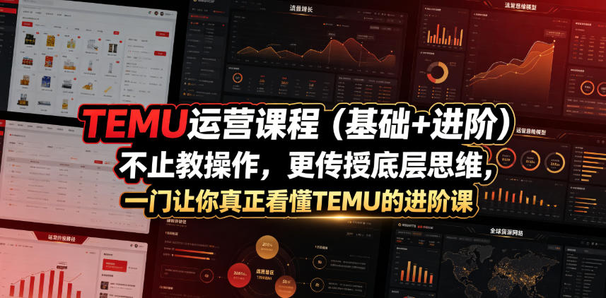 TEMU运营课程（基础+进阶），不止教操作，更传授底层思维，一门让你真正看懂TEMU的进阶课-齐力副业