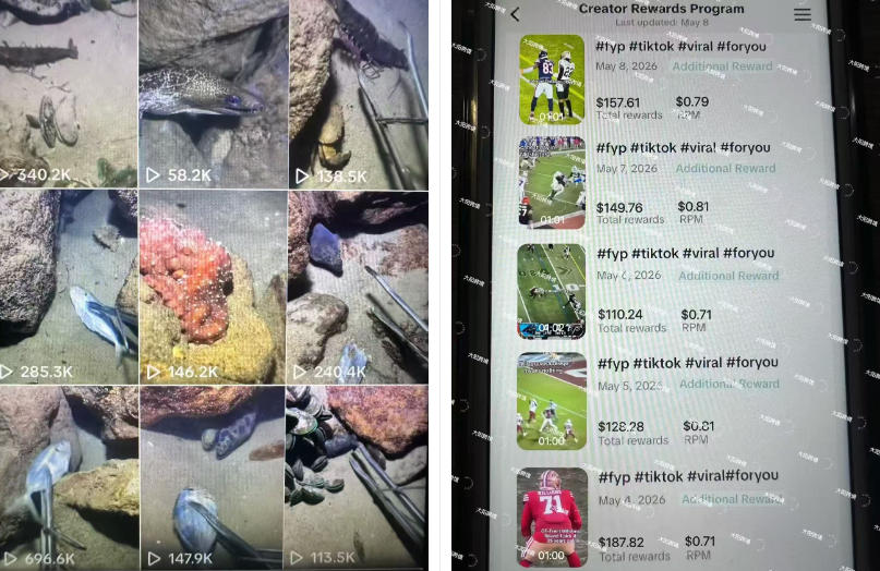 Tiktok中视频解说教程,体育+温情文案双赛道实操教程一站式带你落地,教你出海賺美刀插图1 Tiktok中视频解说教程,体育+温情文案双赛道实操教程一站式带你落地,教你出海賺美刀插图1