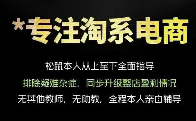 松鼠会电商VIP课程,从基础布局到高阶优化,助你掌握淘宝运营逻辑,提升店铺流量与转化-齐力副业
