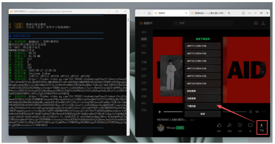 Github热门工具,视频号下载神器又来了!一键注入下载按钮,轻松下载,使用便捷wx_channel插图3 Github热门工具,视频号下载神器又来了!一键注入下载按钮,轻松下载,使用便捷wx_channel插图3