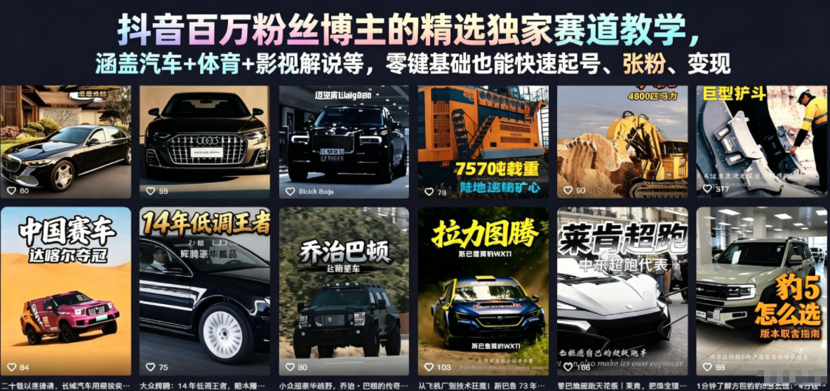 抖音百万粉丝博主的精选独家赛道教学，涵盖汽车+体育+影视解说等，零基础也能快速起号、涨粉、变现（更新0701）-齐力副业