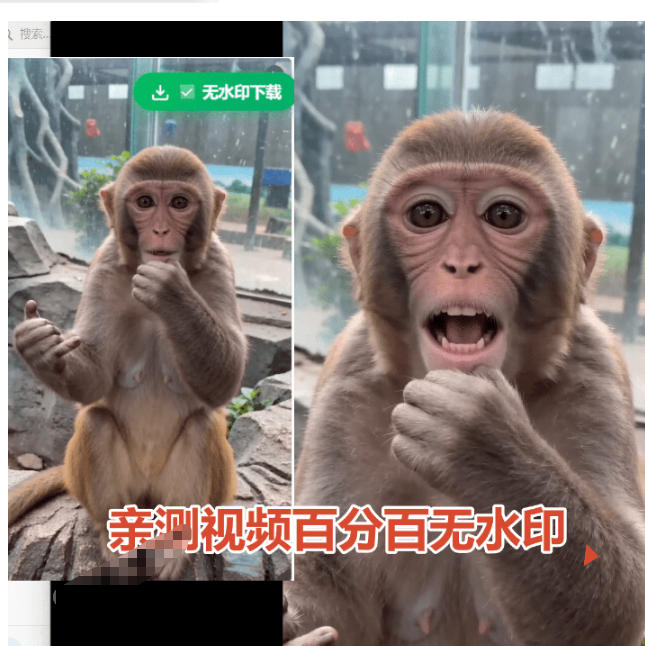 豆包无水印下载终于来了!支持豆包图片/视频,目前唯一免费使用的插件,浏览器拓展插图1 豆包无水印下载终于来了!支持豆包图片/视频,目前唯一免费使用的插件,浏览器拓展插图1